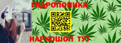 сатива Аргун