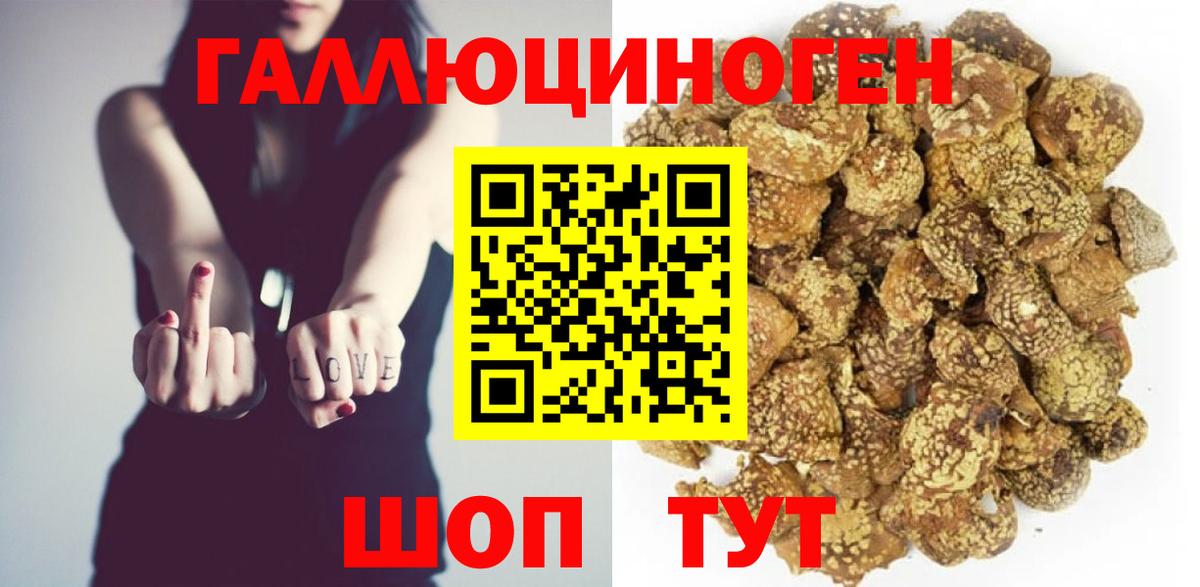 Всеволожск  где найти   Вход с VPN  Галлюциногенные грибы GOLDEN TEACHER 