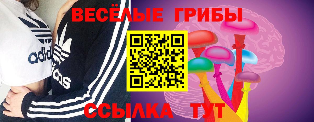 Псилоцибиновые грибы Psilocybe Всеволожск
